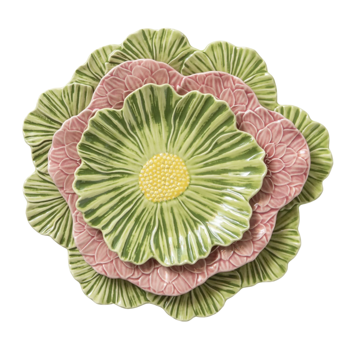 Flora Collection 2.png