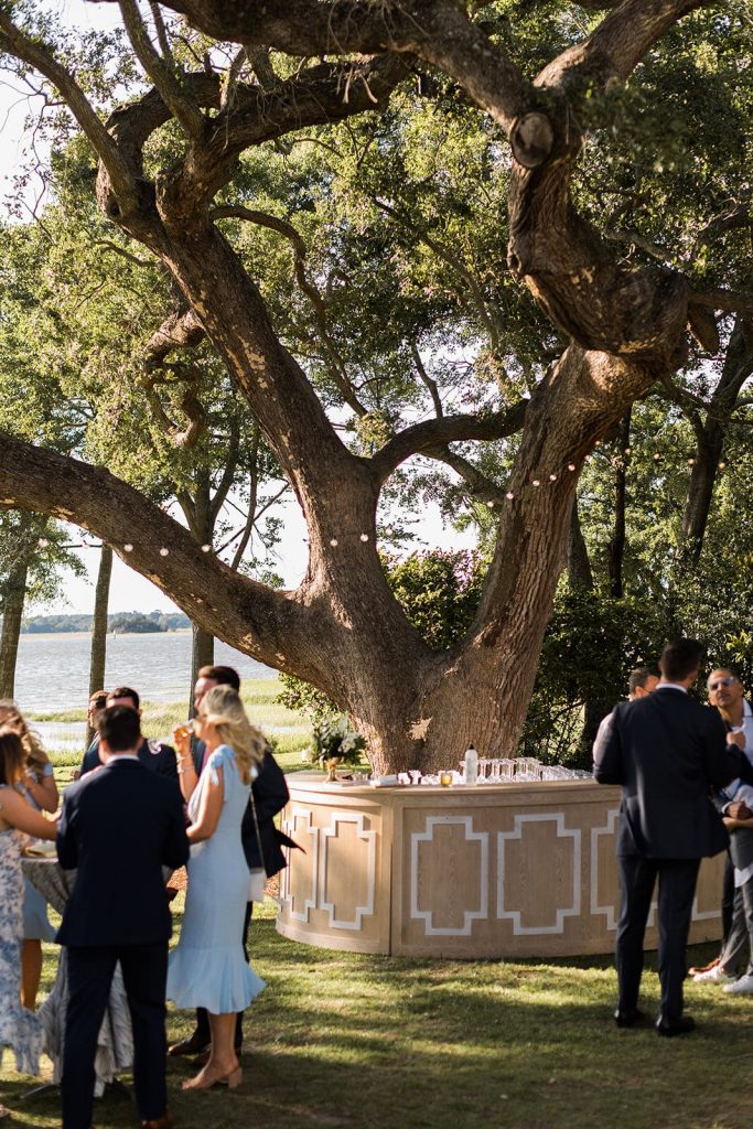 Carissa Matthew Wedding Services Charleston 8 683x1024