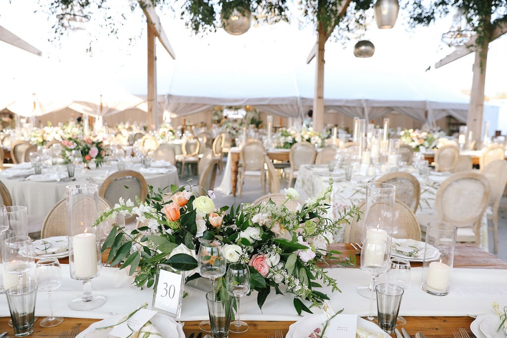 Dan Wes Wedding Services Charleston 4