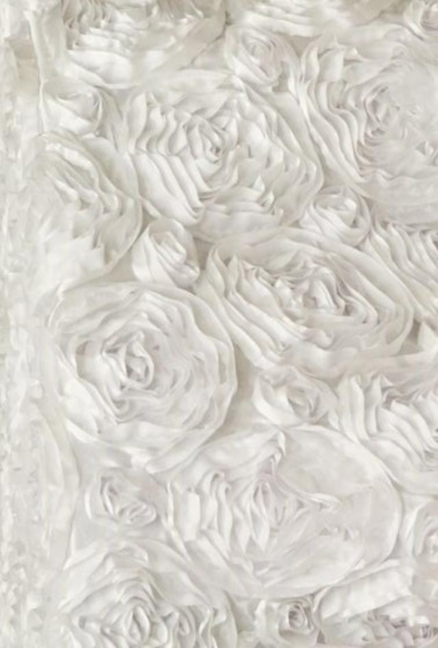 White Rosette