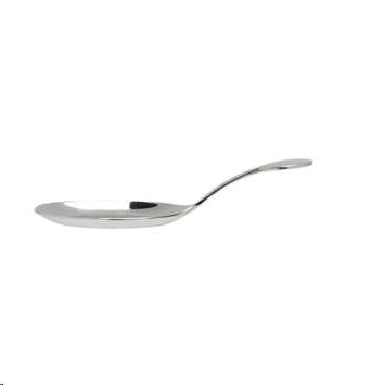 Silver Tasting Spoon