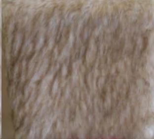 18 X 18 Russian Fur Pillow