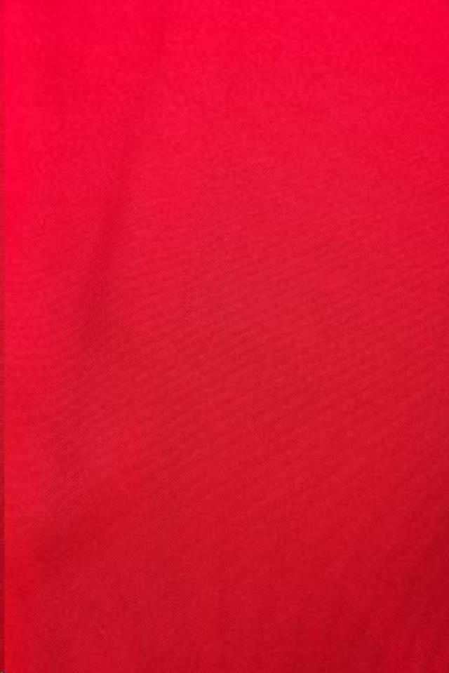 Holiday Red Tie 8"X100"