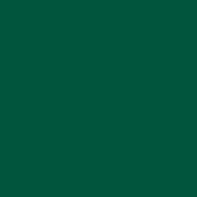 Hunter Green Poly Napkin  20" x 20"