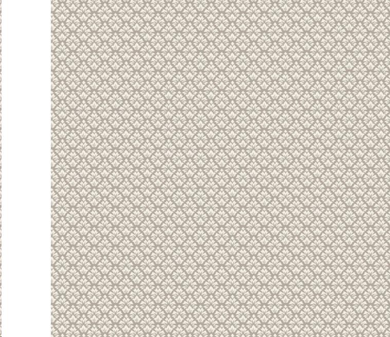 Sawyer Mushroom Napkin 20"x20" CLC