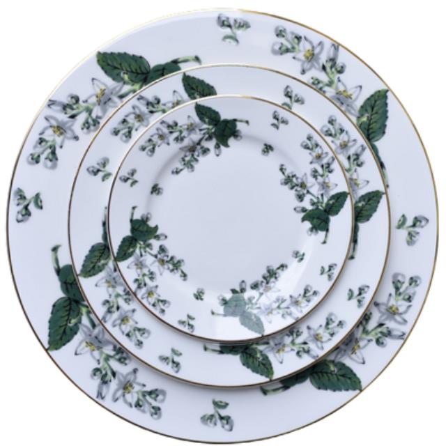 Floret Bloom Collection