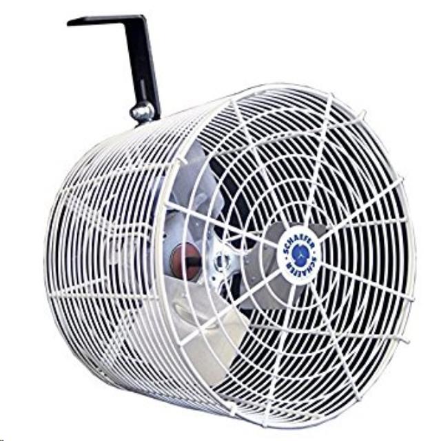 Tent Fan 14"