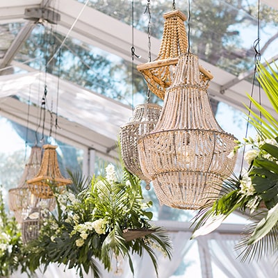 Collection | Curated Events | Raleigh