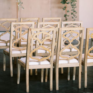 Specialty Chairs Rental