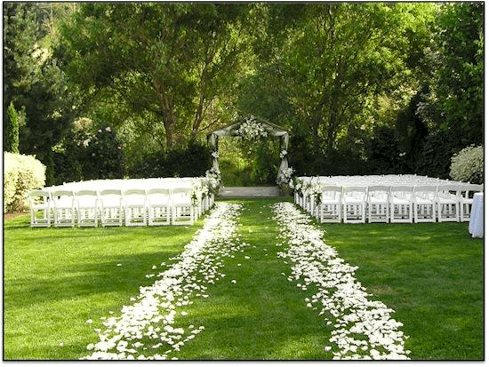 Flower pedals down a wedding aisle outdoors