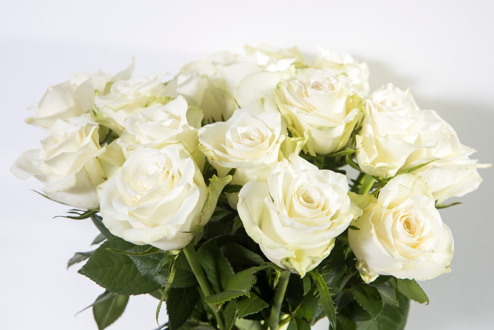 A bouquet of white roses in a vintage green glass vase
