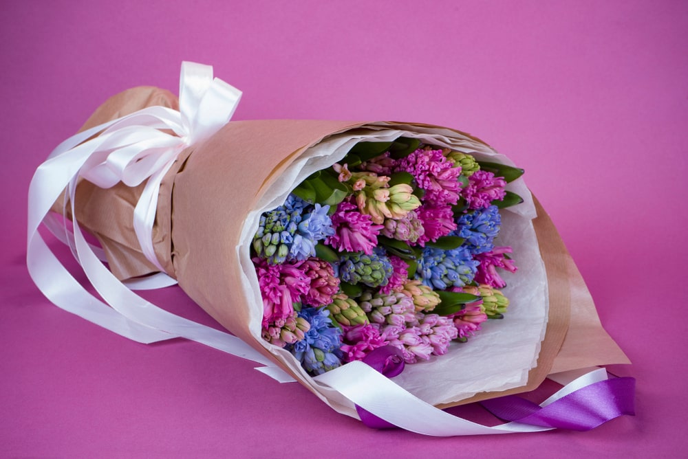 Bouquet of hyacinth flowers