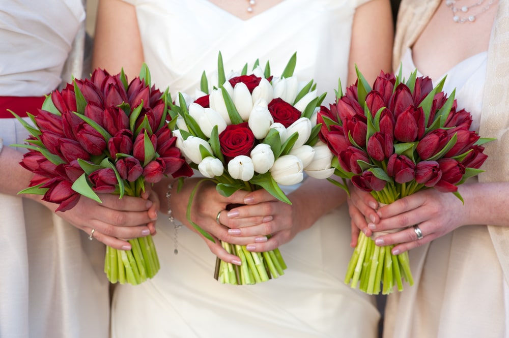 Bride and bridesmaids holding red tulip wedding bouquets