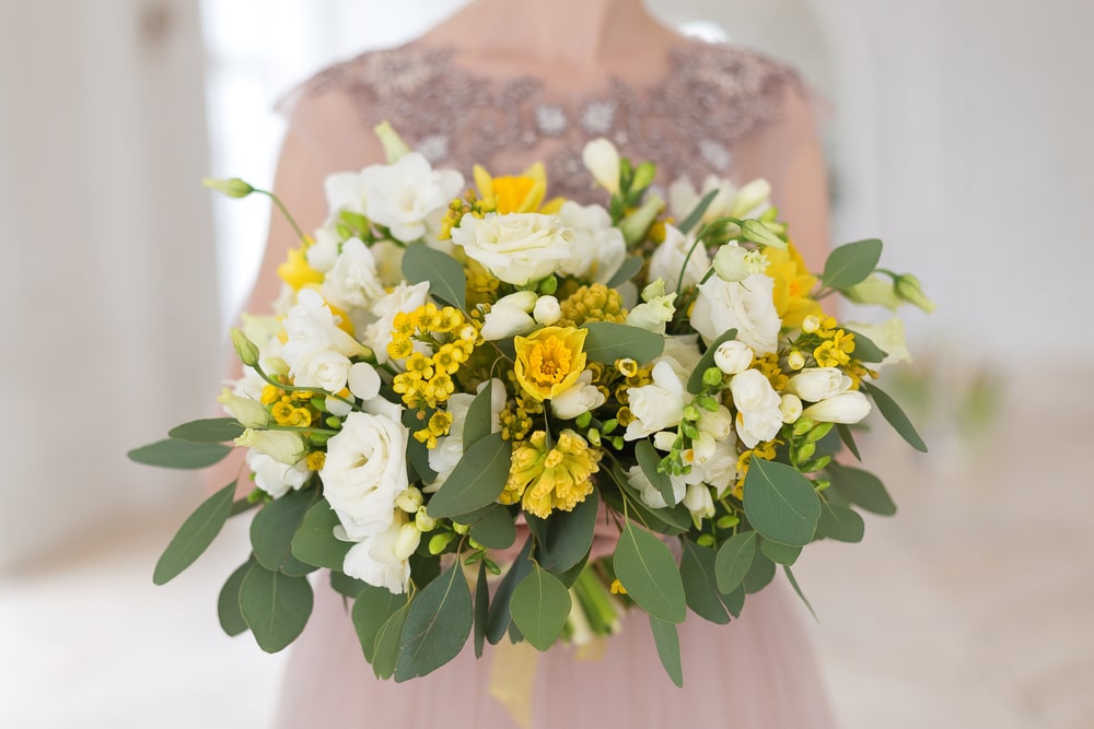 Elegant spring white and yellow wedding bouquet of daffodils lisianthus eucalyptus and matricaria camilla.