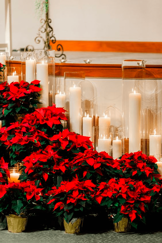 Poinsettias and Candles make beautiful winter wedding decor
