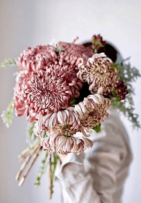 Wedding bouquet of chrysanthemum in brides hands