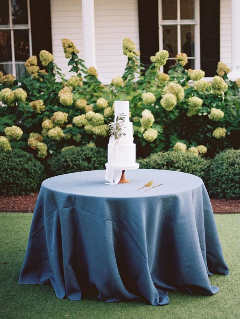 Outdoor table with wedding cake