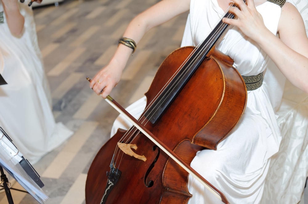 Celloist performing at a wedding reception