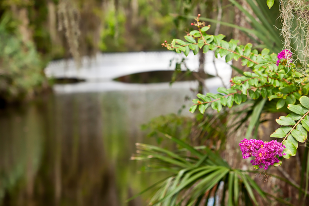 Magnolia Plantation is a top vacation destination for travel in Charleston South Carolina