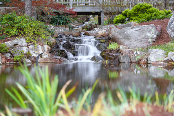 Pond at Lewis Ginter botanic gardens