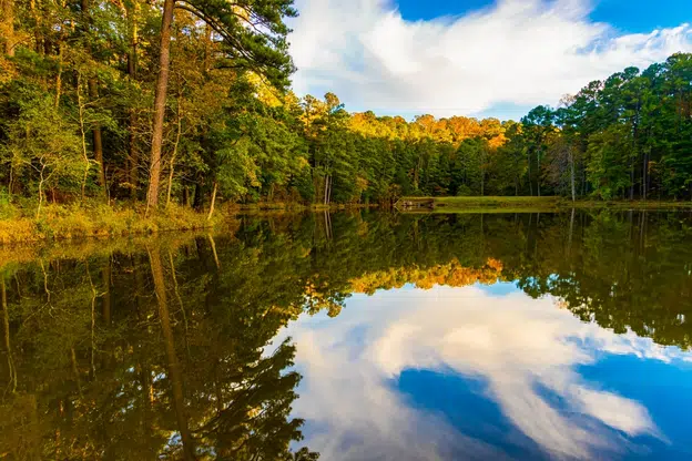 Fall Color Reflections on Sycamore Creek, William B. Umstead State Park, Raleigh, North Carolina