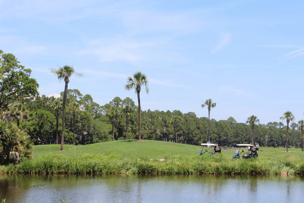Charleston greenery across the lake, two gold carts