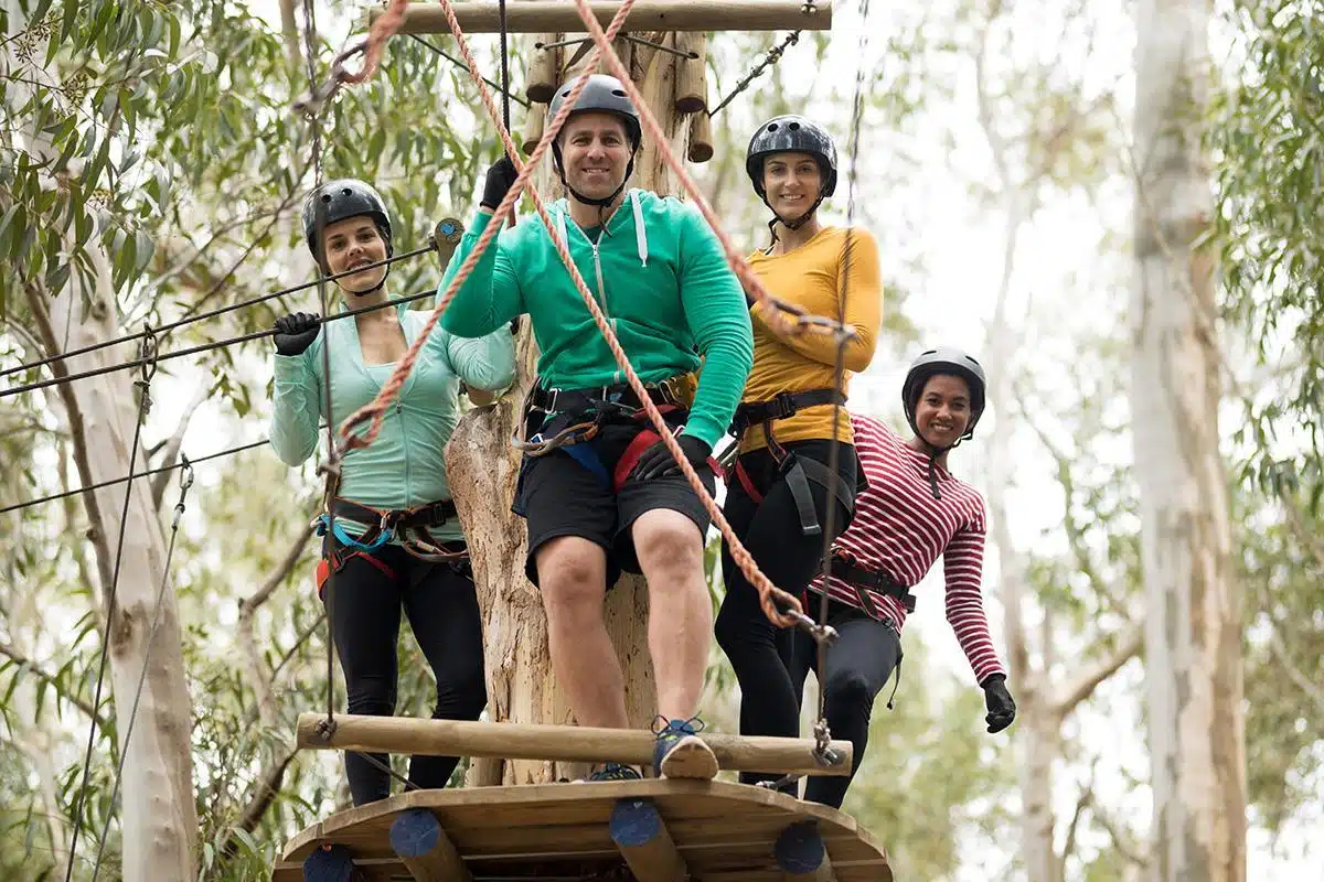 Zipline Team Building Activity