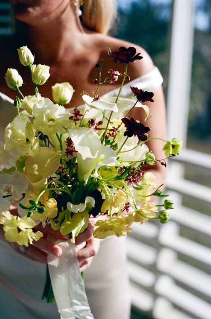 SKFilm 7 | Curated Events SKFilm 7