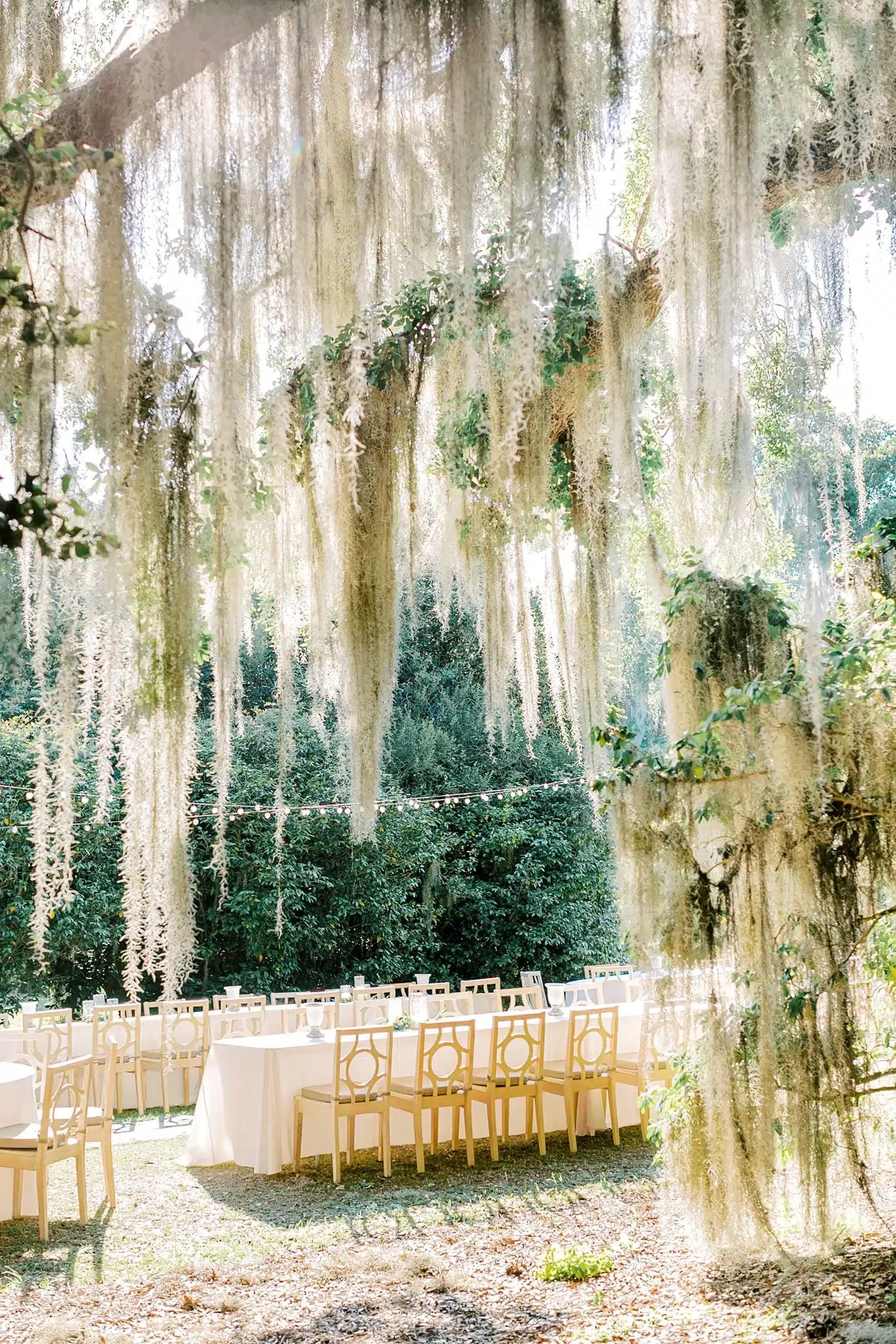 Outdoor dining tables with white linens and wood chairs beneath Spanish moss and string lights.