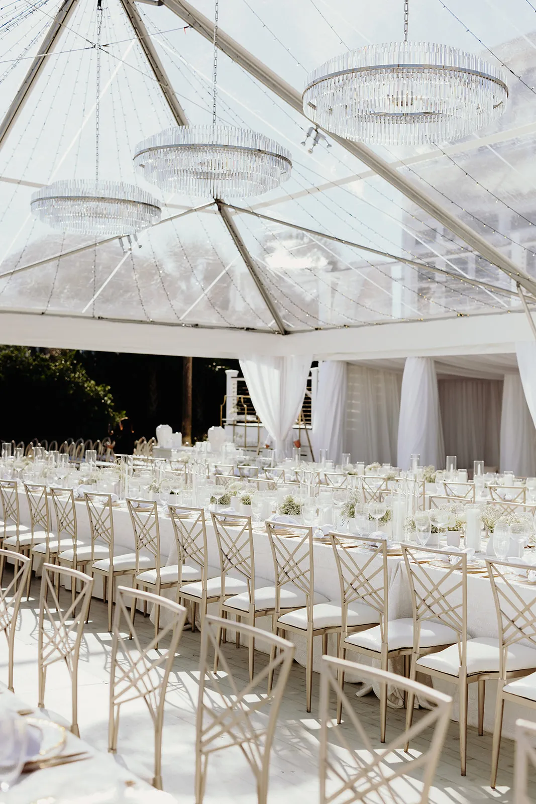 Clear-top tent with chandeliers and formal dining setup for upscale event. | Curated Events Elegant event setup featuring long tables with white tablecloths, gold-accented chairs, and decorative glassware under a clear tent with chandeliers, emphasizing design consistency for a polished atmosphere.