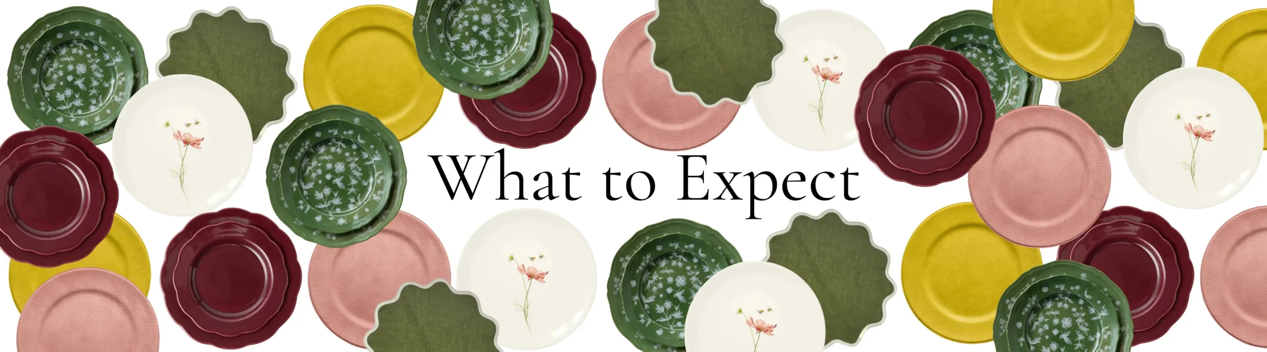 What to Expect FAQ Header