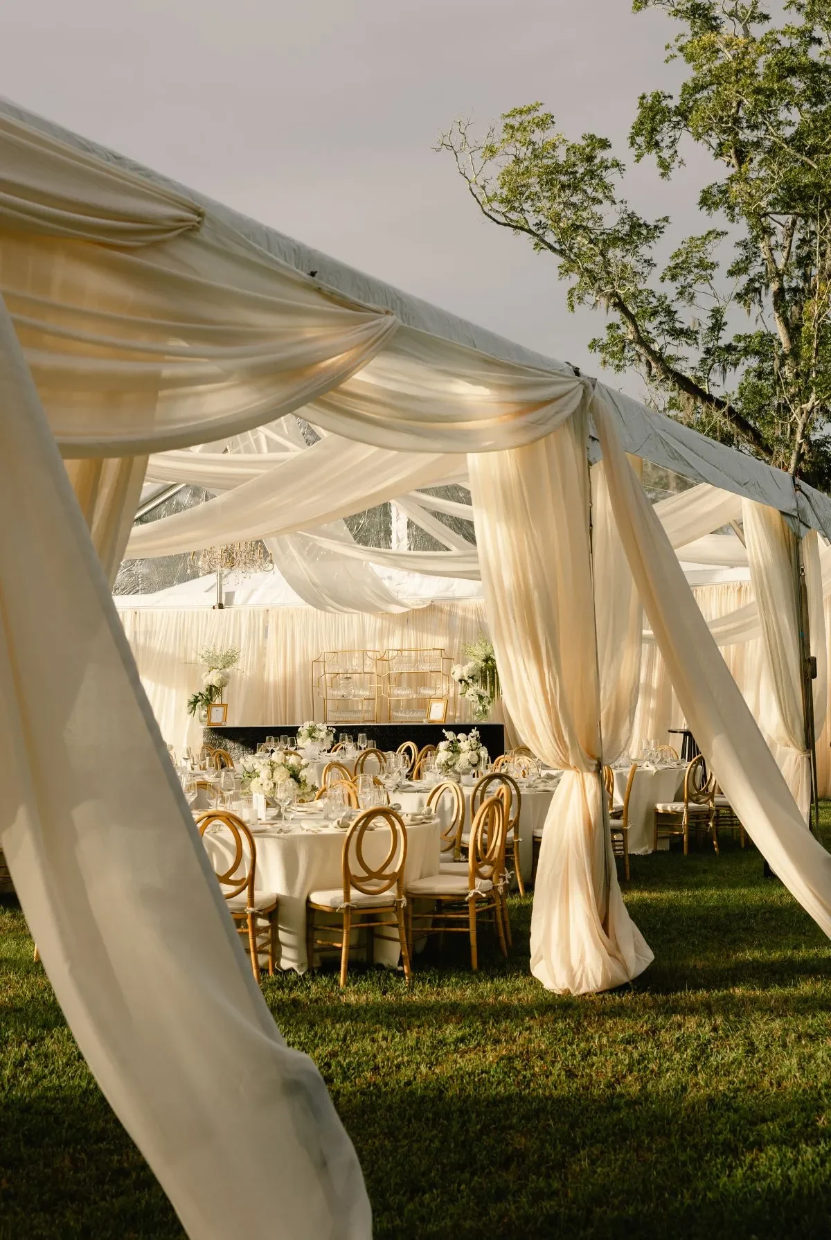 Gold oval-back wedding chairs beneath a cream-draped reception tent